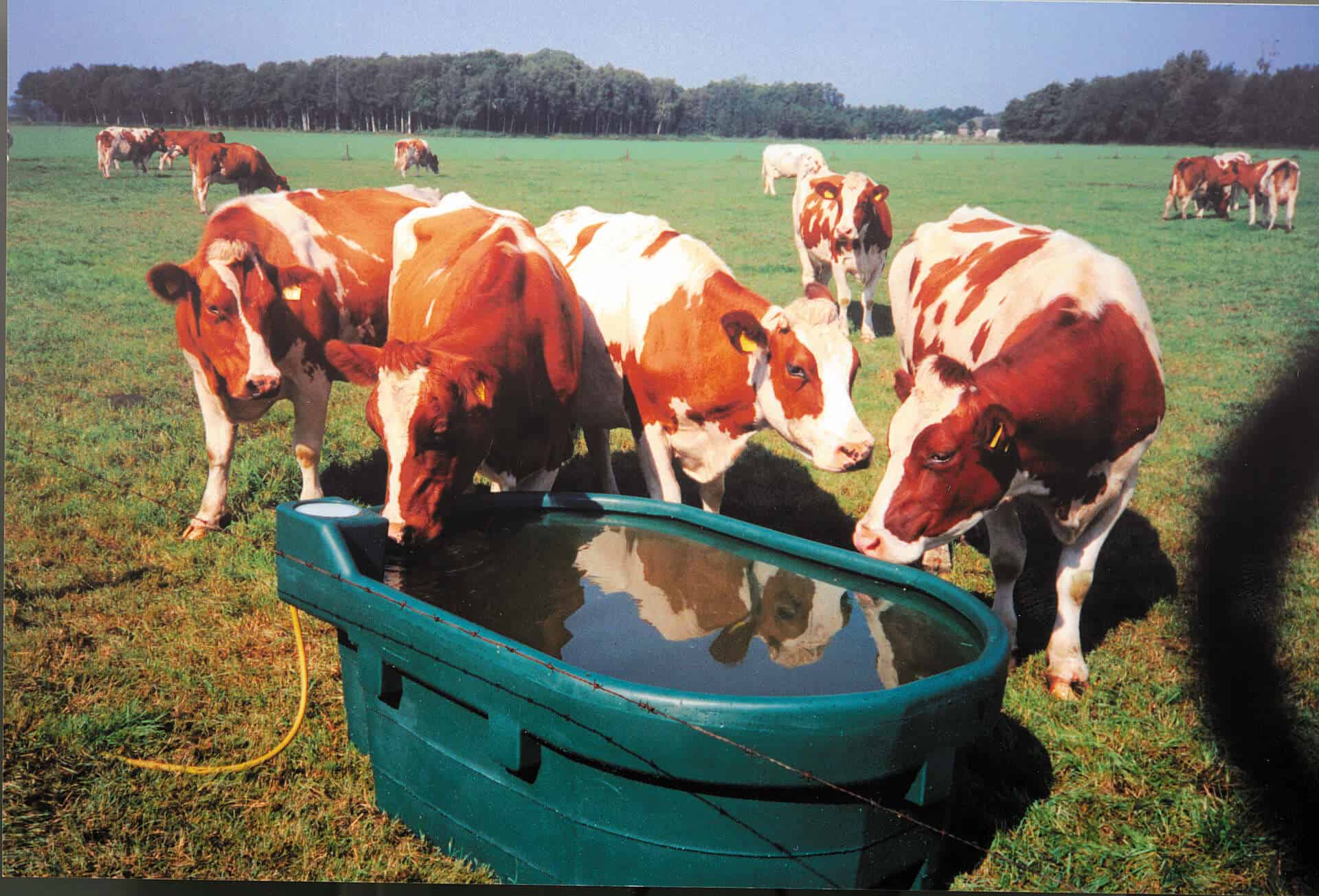 Pasture trough WT600 - Image 3